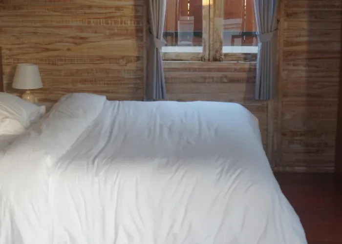 Octopus Homestay